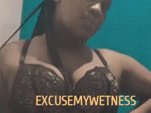 EXCUSEMYWETNESS