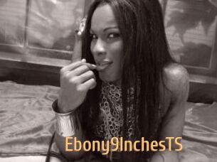 Ebony9InchesTS
