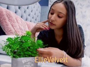 EllieVelvett