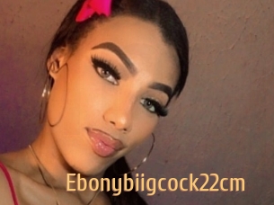 Ebonybiigcock22cm