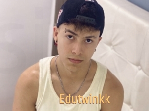 Edutwinkk