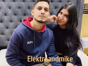 Elektraandmike