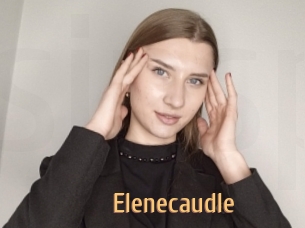 Elenecaudle