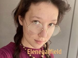 Elenegarfield