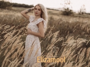 Elizamool