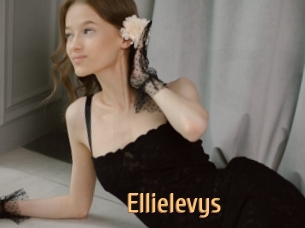 Ellielevys