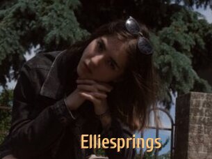 Elliesprings