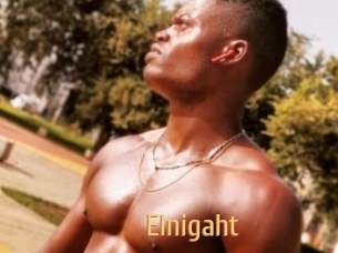 Elnigaht