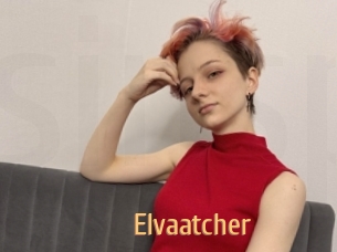 Elvaatcher