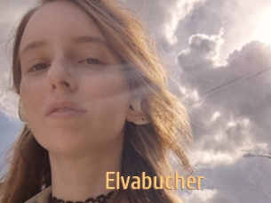 Elvabucher