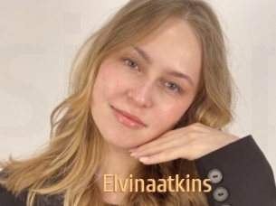 Elvinaatkins