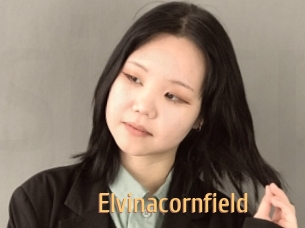 Elvinacornfield