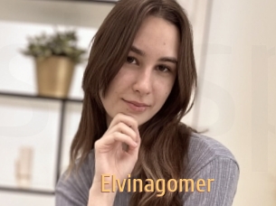 Elvinagomer