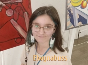 Elwynabuss