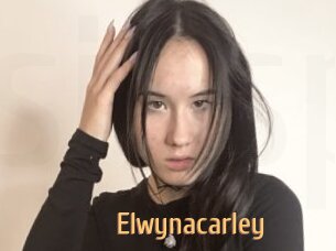 Elwynacarley