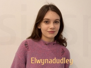 Elwynadudley