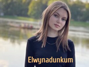 Elwynadunkum