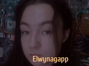 Elwynagapp