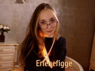 Erlenefigge