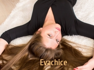 Evachice