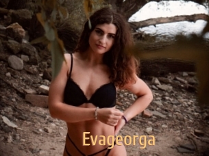 Evageorga