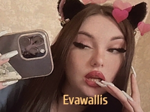 Evawallis