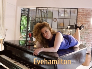 Evehamilton