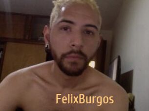 FelixBurgos