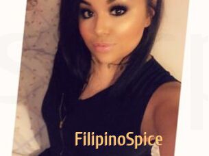 FilipinoSpice