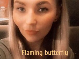 Flaming_butterfly