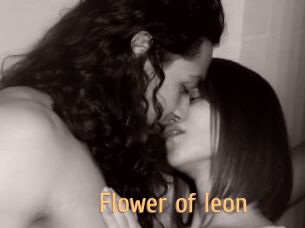 Flower_of_leon