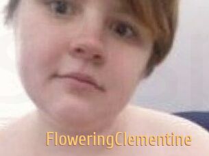 FloweringClementine