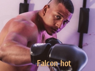 Falcon_hot