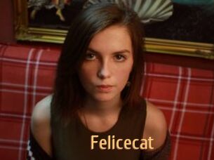 Felicecat