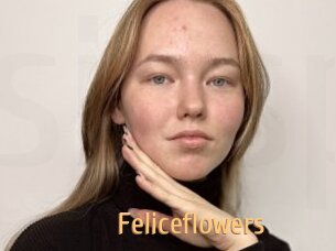 Feliceflowers