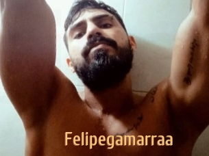 Felipegamarraa