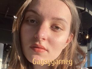 Gaysygarney