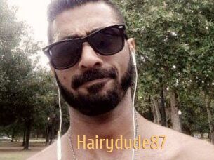 Hairydude87