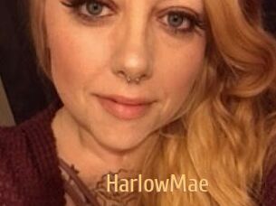 HarlowMae