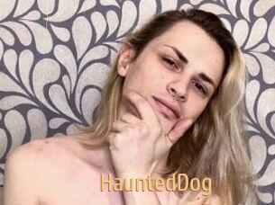 HauntedDog