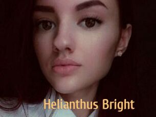 Helianthus_Bright