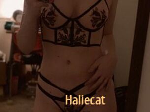 Haliecat