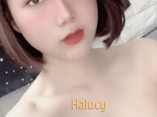 Halucy