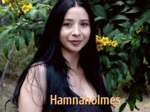 Hamnaholmes