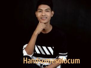 Handsomesolocum