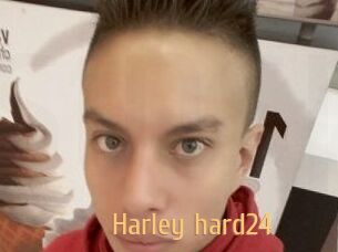 Harley_hard24