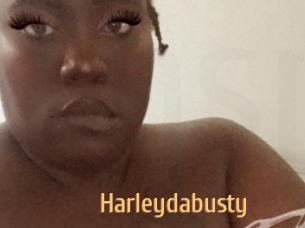 Harleydabusty