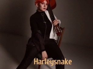 Harleysnake