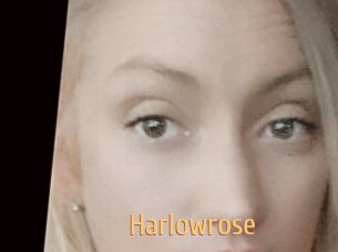 Harlowrose