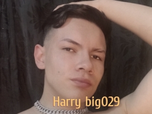 Harry_big029